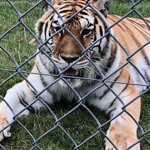 Meet your Posher, Charlene